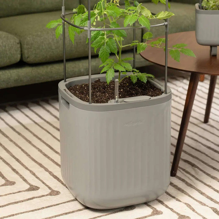 Vego Garden® EZ Self - Watering Tomato Planter with Trellis - Greenhouse Megastore