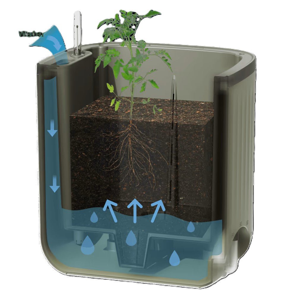 self watering trellis planter Vego Garden® EZ Self-Watering Tomato Planter with Trellis