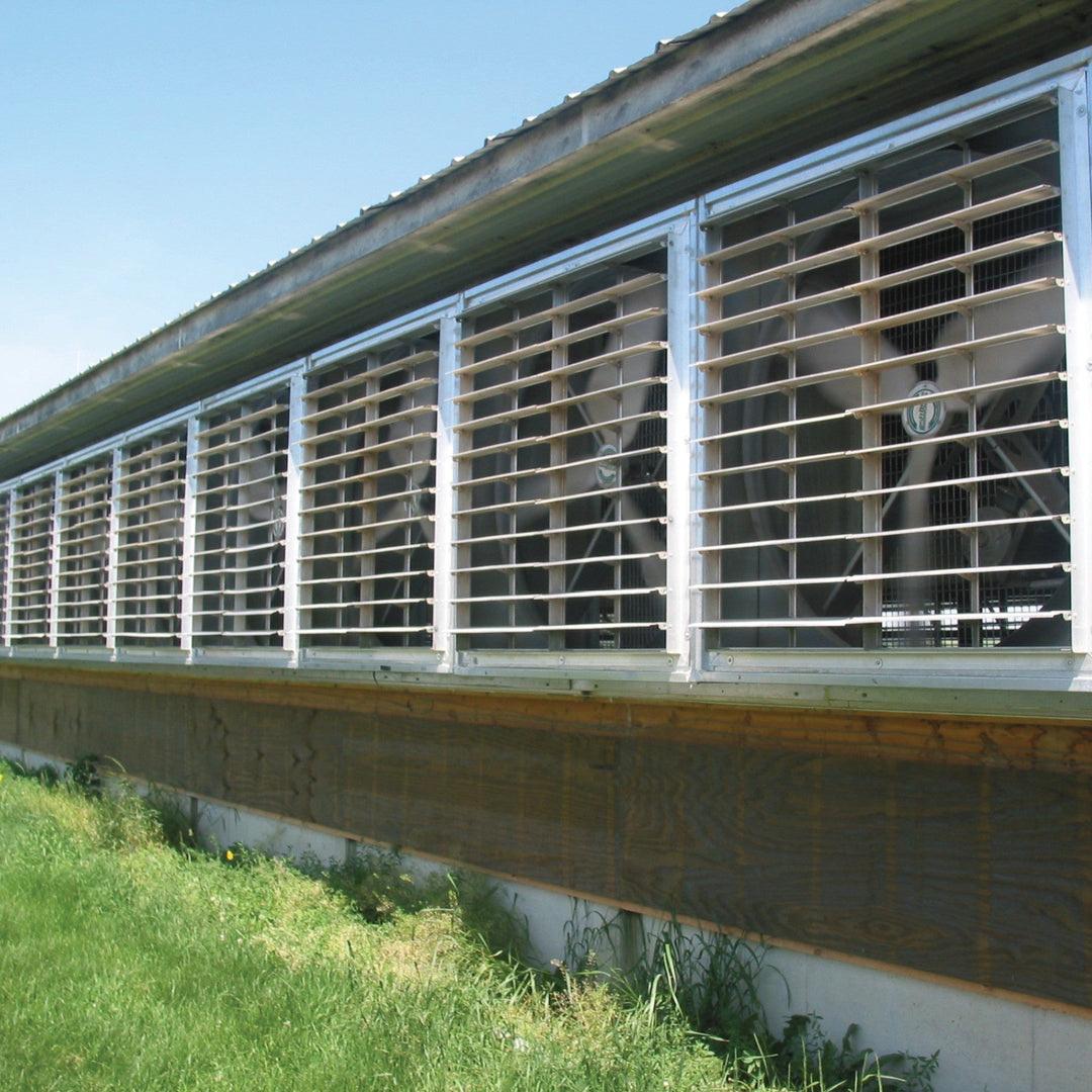 Wall Master Box Fan - Greenhouse Megastore