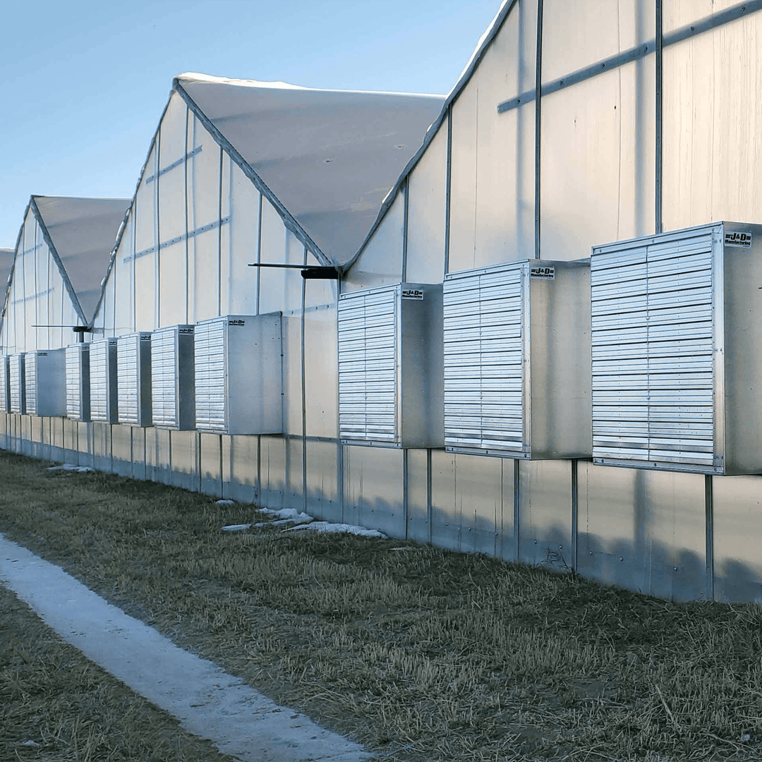 Wall Master Light Dep Exhaust Fan - Greenhouse Megastore