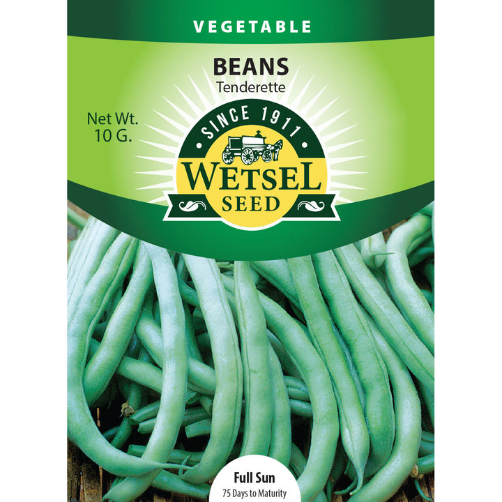 Wetsel Seed™ Bean Garden Tenderette (bush) Seed