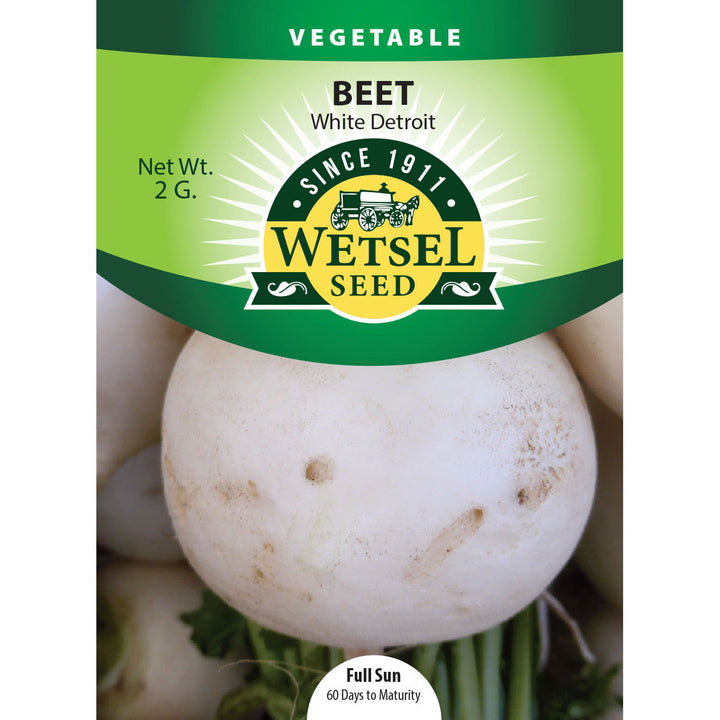 Wetsel Seed™ White Detroit Beet Seed