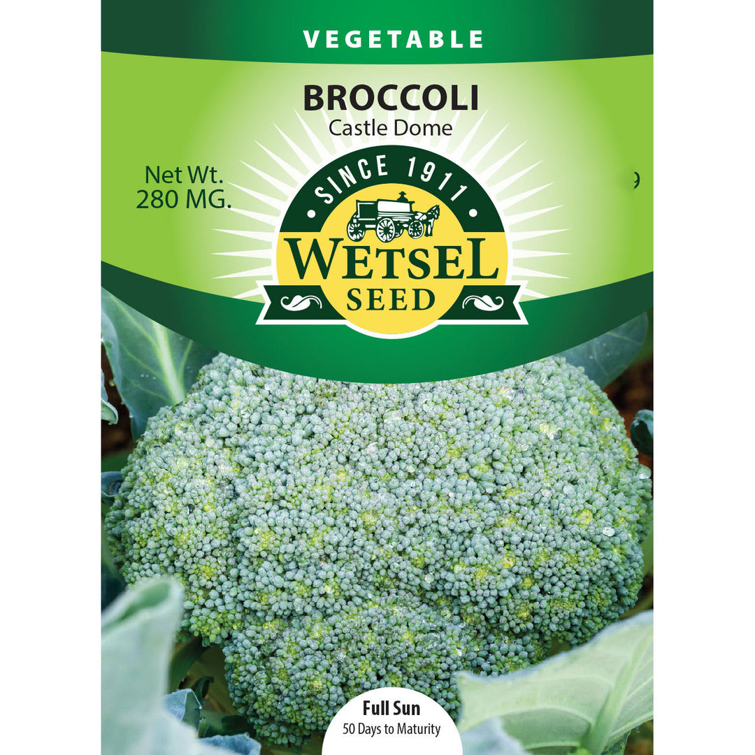 Wetsel Seed™ Castle Dome Broccoli Seed