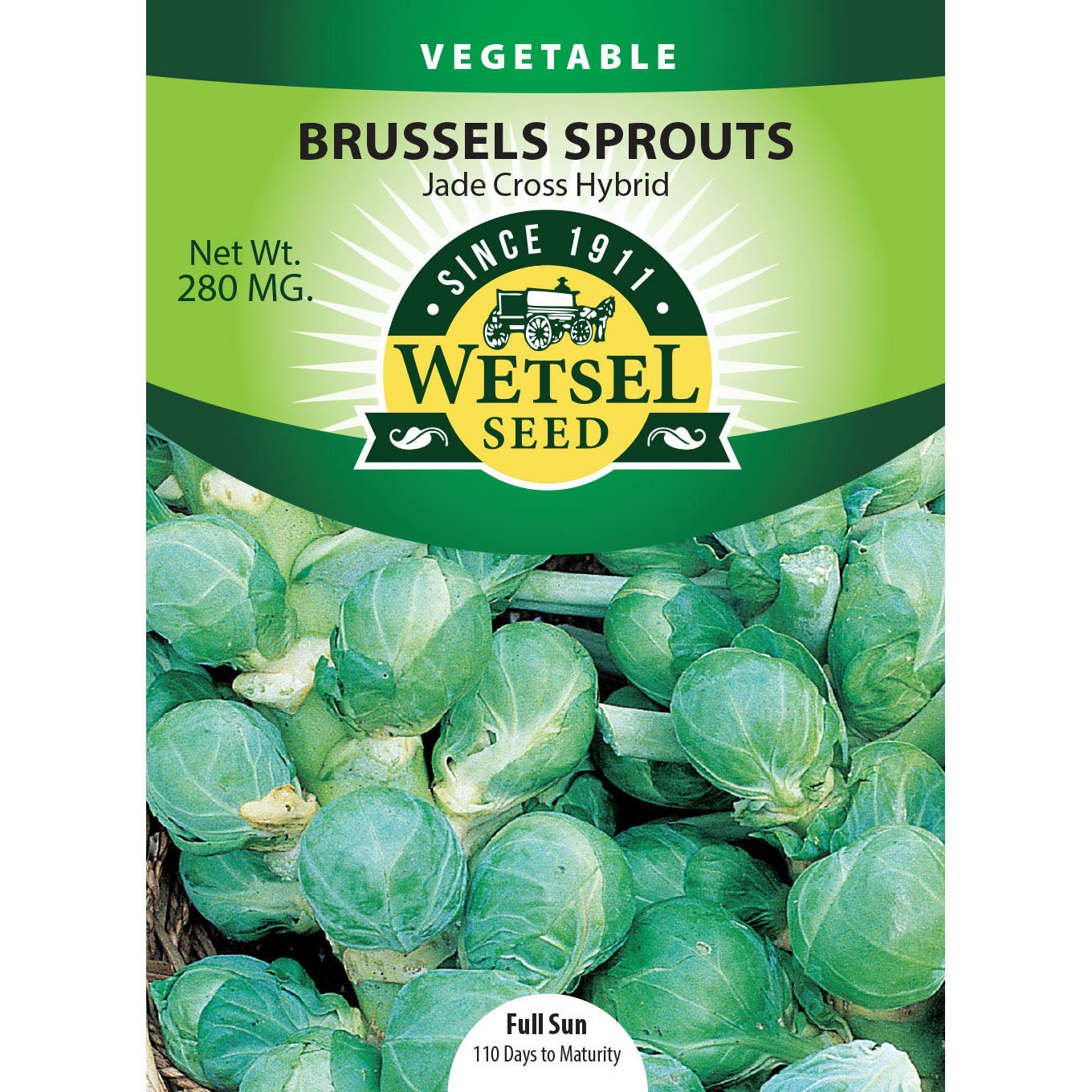 Wetsel Seed™ Hybrid Jade Cross Brussel Sprouts Seed Greenhouse Megastore