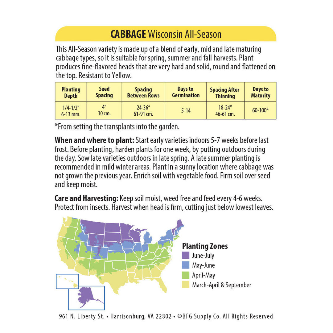 Wetsel Seed™ Cabbage Wisconsin All Season Seed