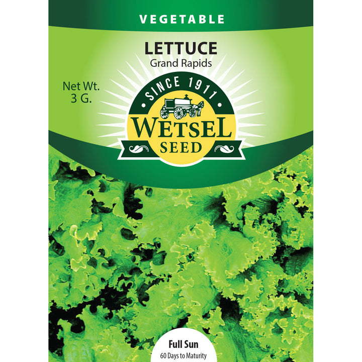 Wetsel Seed™ Lettuce Grand Rapids Seed