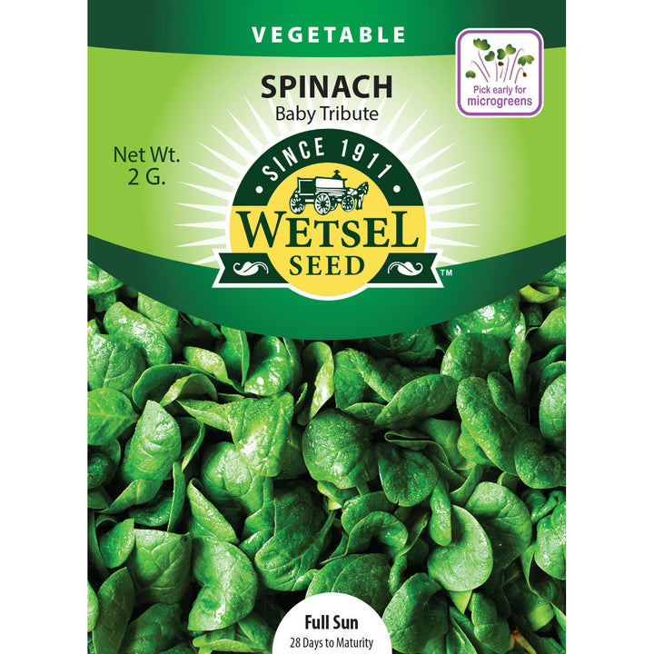 Wetsel Seed™ Baby Tribute Spinach Seed