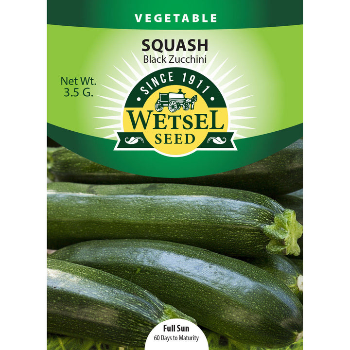 Wetsel Seed™ Squash Dark Green (Black) Zucchini Seed
