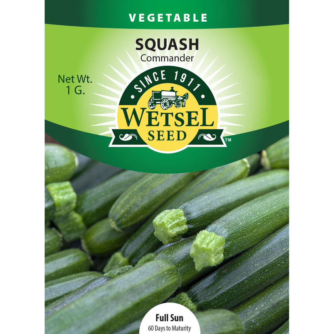 Wetsel Seed™ Squash Commander Zucchini Seed