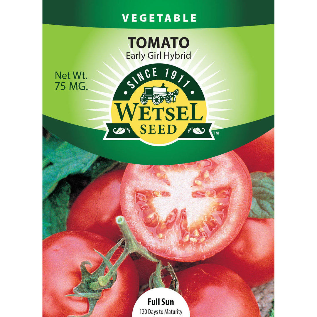 Wetsel Seed™ Hybrid Early Girl Tomato Seed
