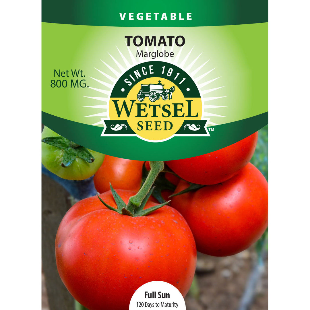 Wetsel Seed™ Marglobe Tomato Seed