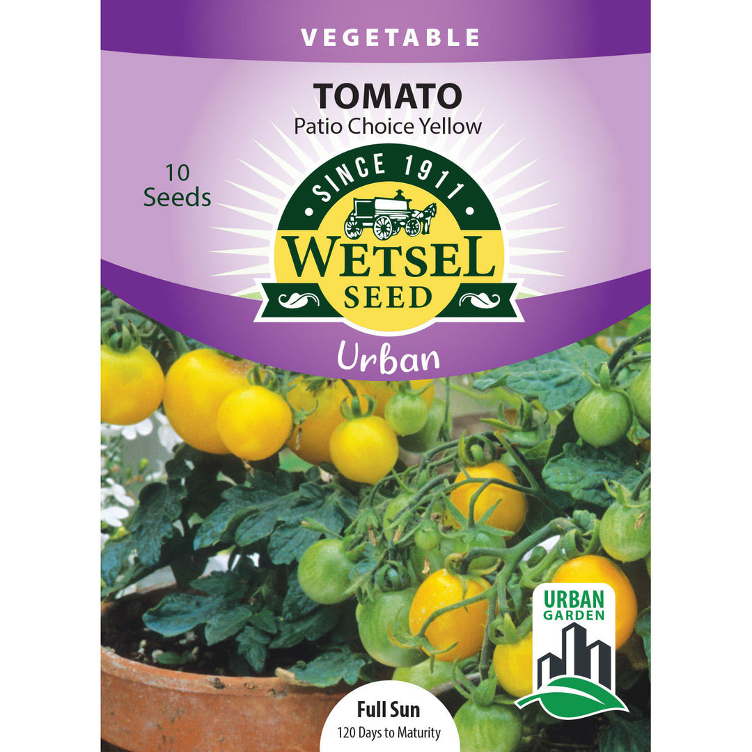 Wetsel Seed™ Urban Garden Patio Choice Yellow Tomato Seed