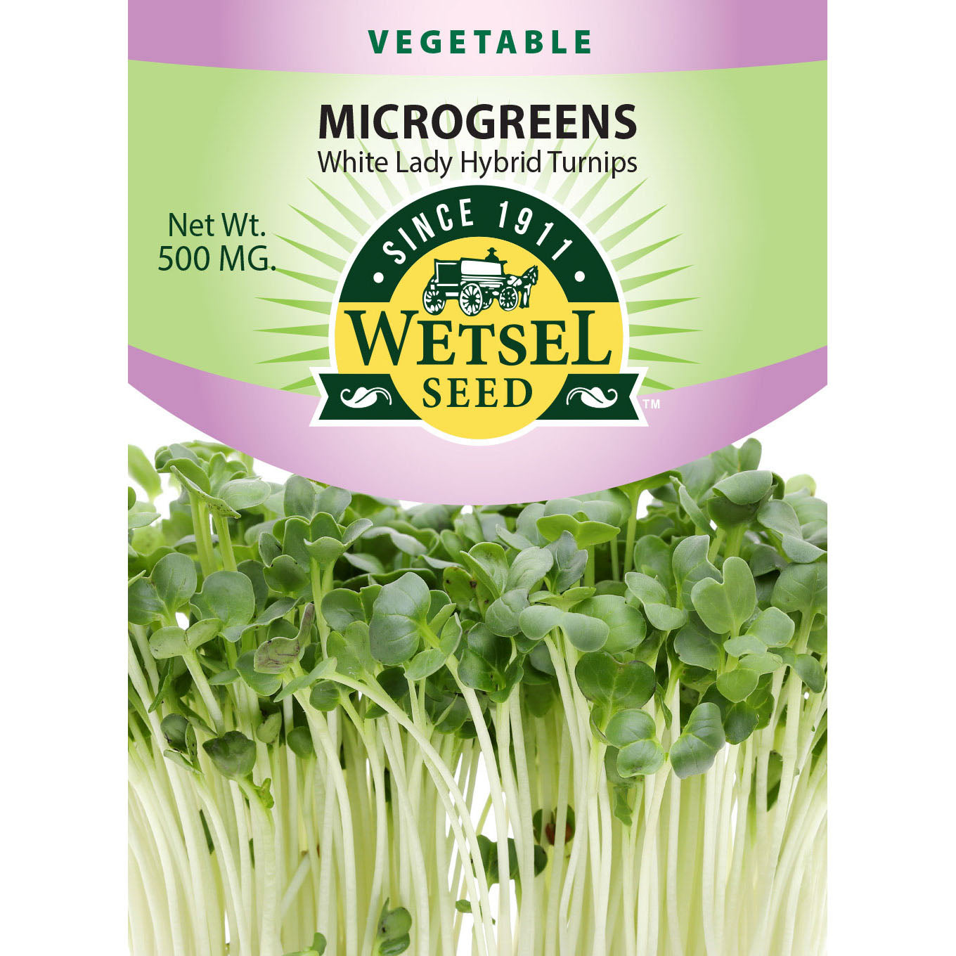 Wetsel Seed Microgreens White Lady Hybrid Turnip Seed Greenhouse Megastore