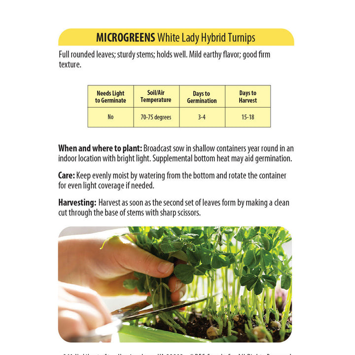 Wetsel Seed™ Microgreens White Lady Hybrid Turnip Seed