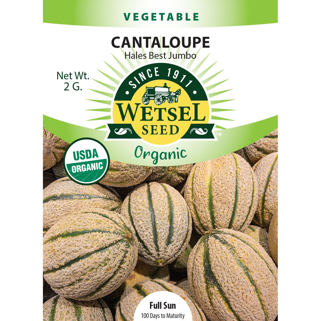 Wetsel Seed™ Organic Hales Best Jumbo Cantaloupe Seed
