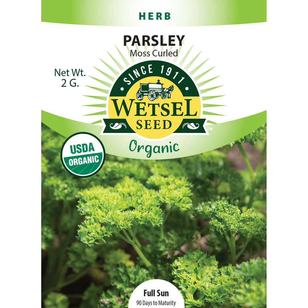 Wetsel Seed™ Organic Moss Curled Parsley Seed
