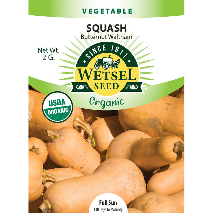 Wetsel Seed™ Organic Butternut Waltham Squash Seed