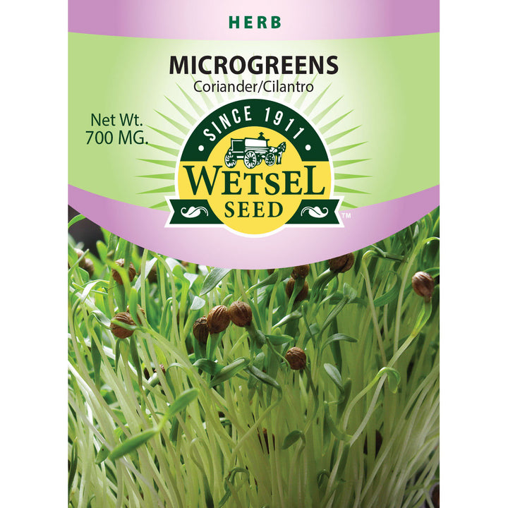 Wetsel Seed™ Microgreens Cilantro Coriander Seed