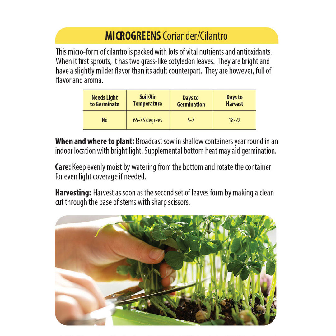 Wetsel Seed™ Microgreens Cilantro Coriander Seed