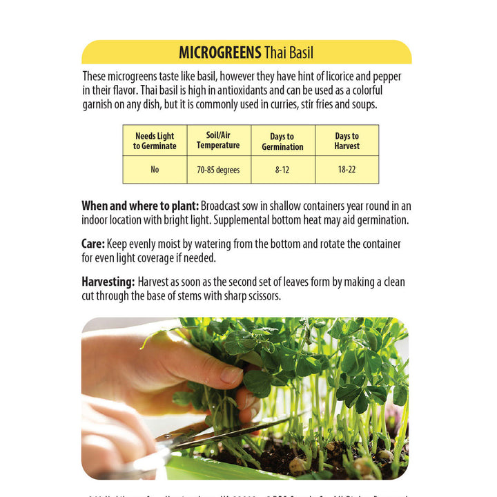 Wetsel Seed™ Microgreens Thai Basil Seed