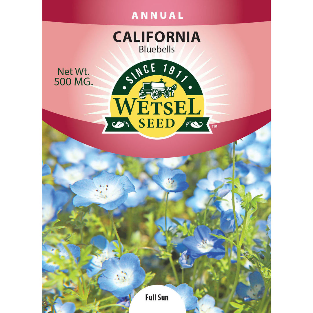 Wetsel Seed™ California Bluebells Seed