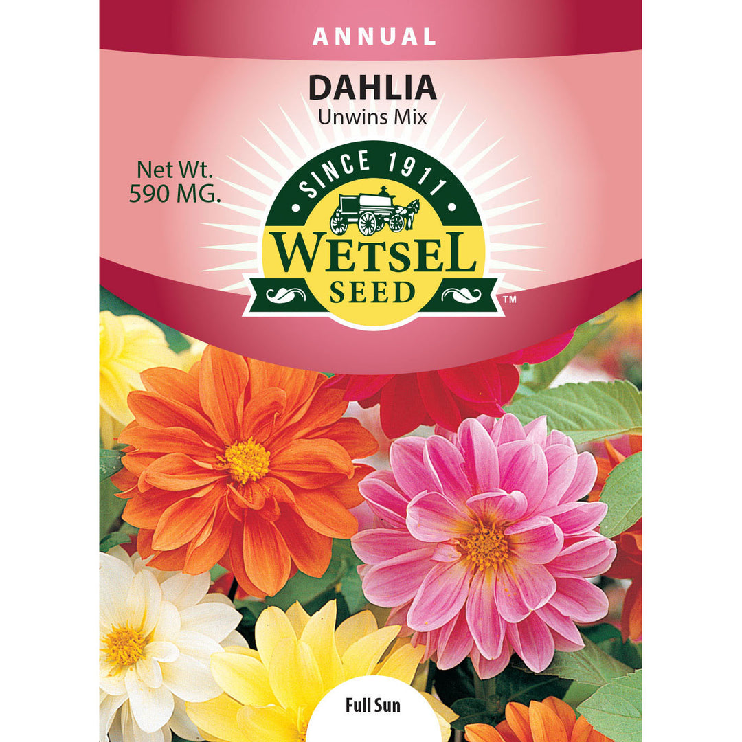 Wetsel Seed™ Unwin's Mix Dahlia Seed
