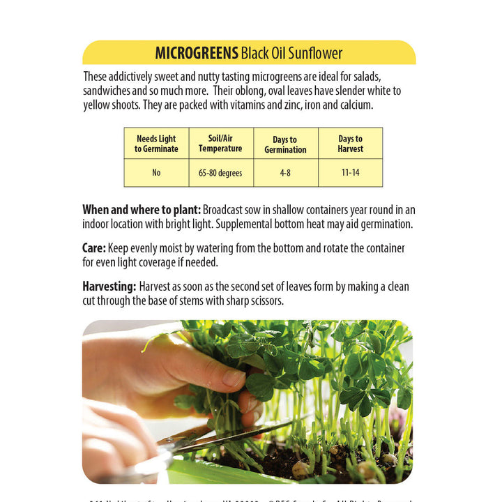 Wetsel Seed™ Microgreens Black Oil Sunflower Seed