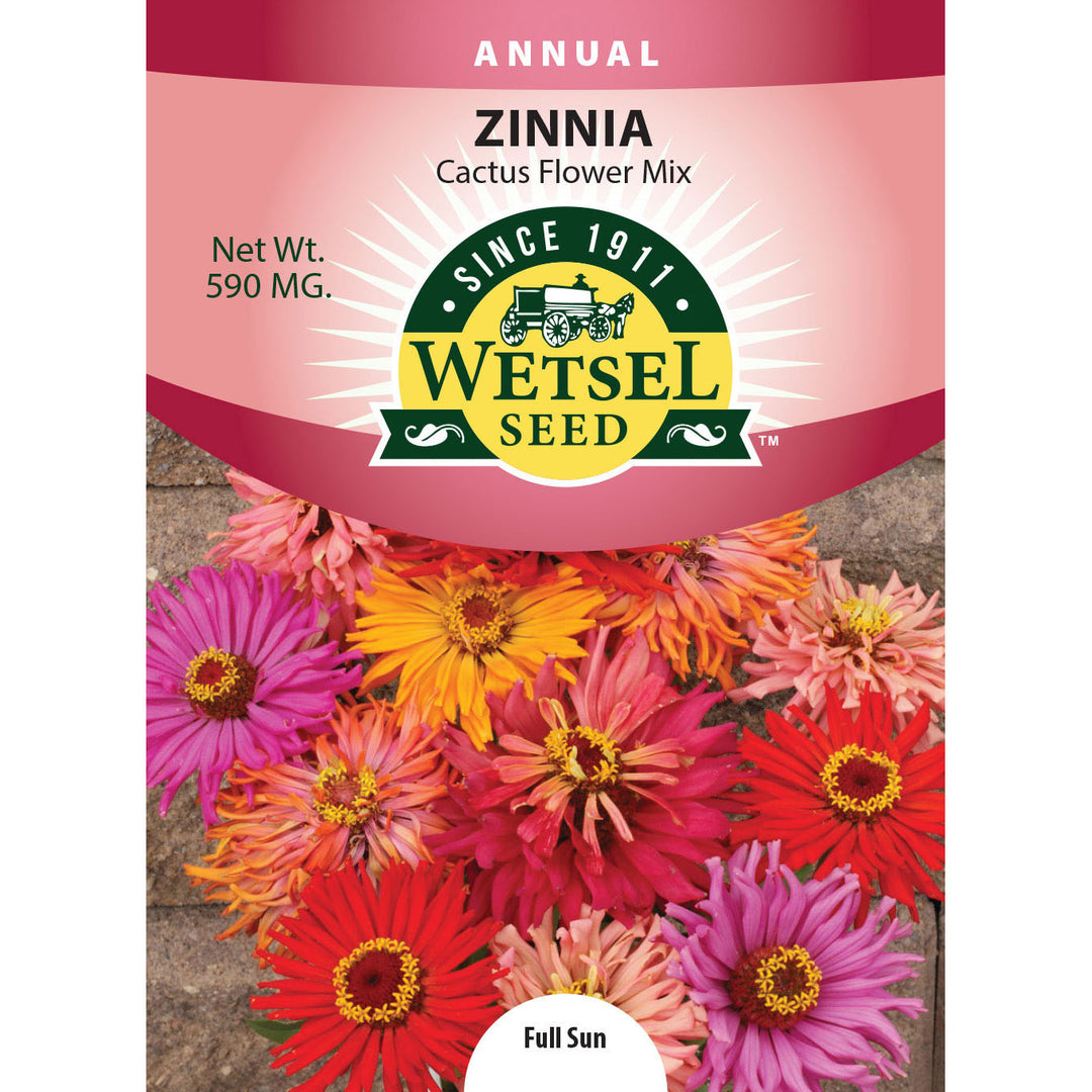 Wetsel Seed™ Cactus Flower Mix Zinnia Seed