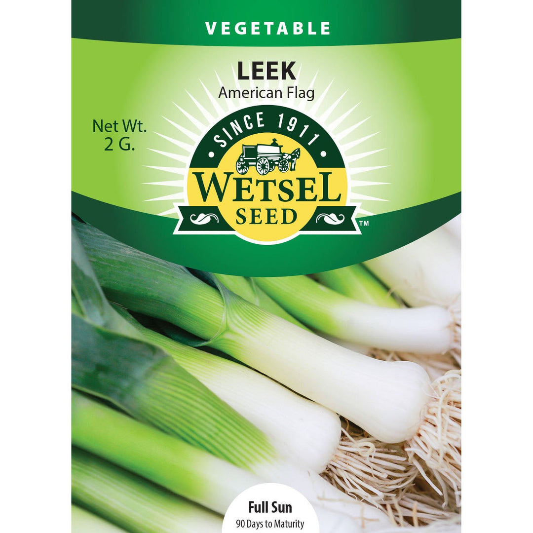 Wetsel Seed™ American Flag Leek Seed - Greenhouse Megastore