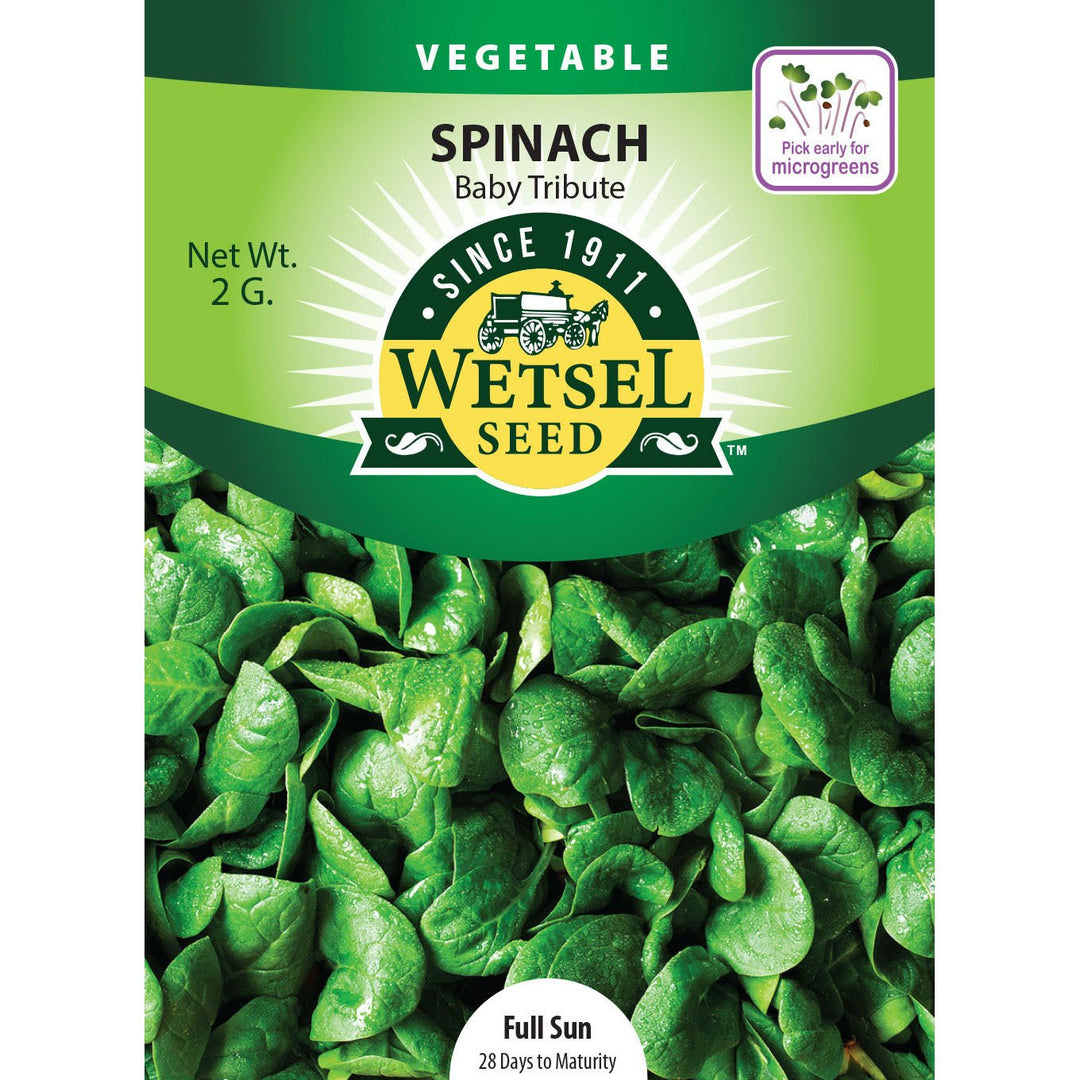 Wetsel Seed™ Baby Tribute Spinach Seed - Greenhouse Megastore