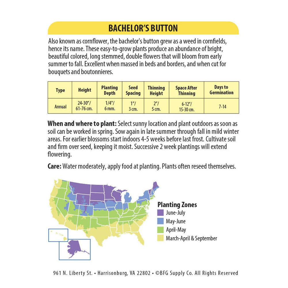 Wetsel Seed™ Bachelor Buttons Seed - Greenhouse Megastore