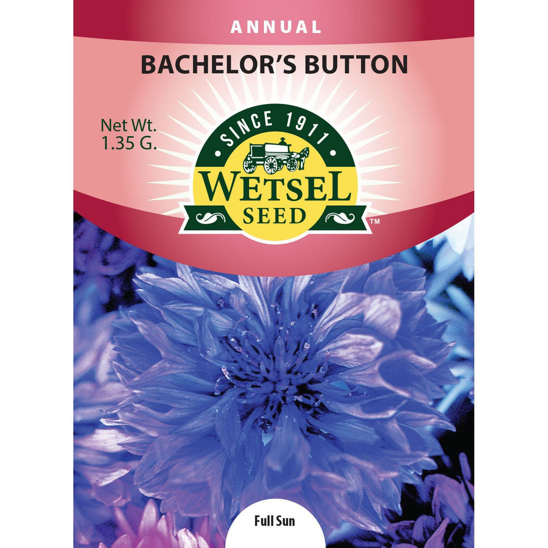 Wetsel Seed™ Bachelor Buttons Seed - Greenhouse Megastore