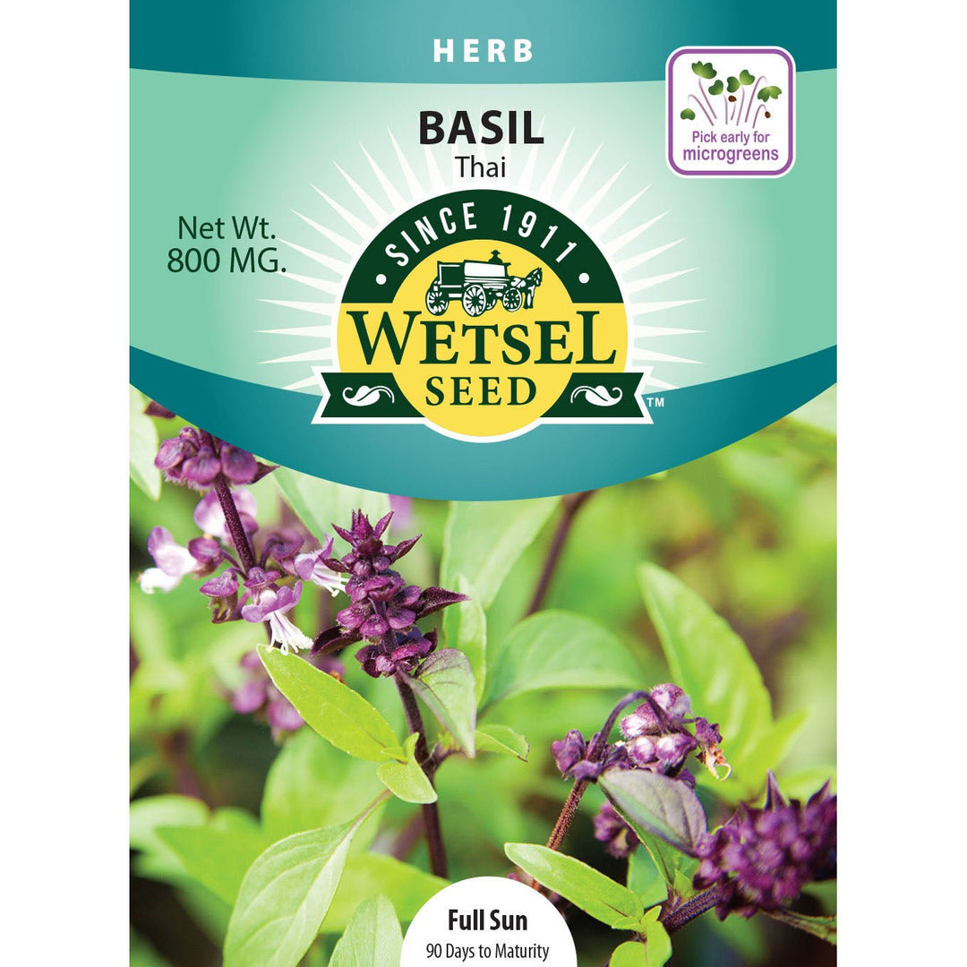 Wetsel Seed™ Basil Thai Seed - Greenhouse Megastore