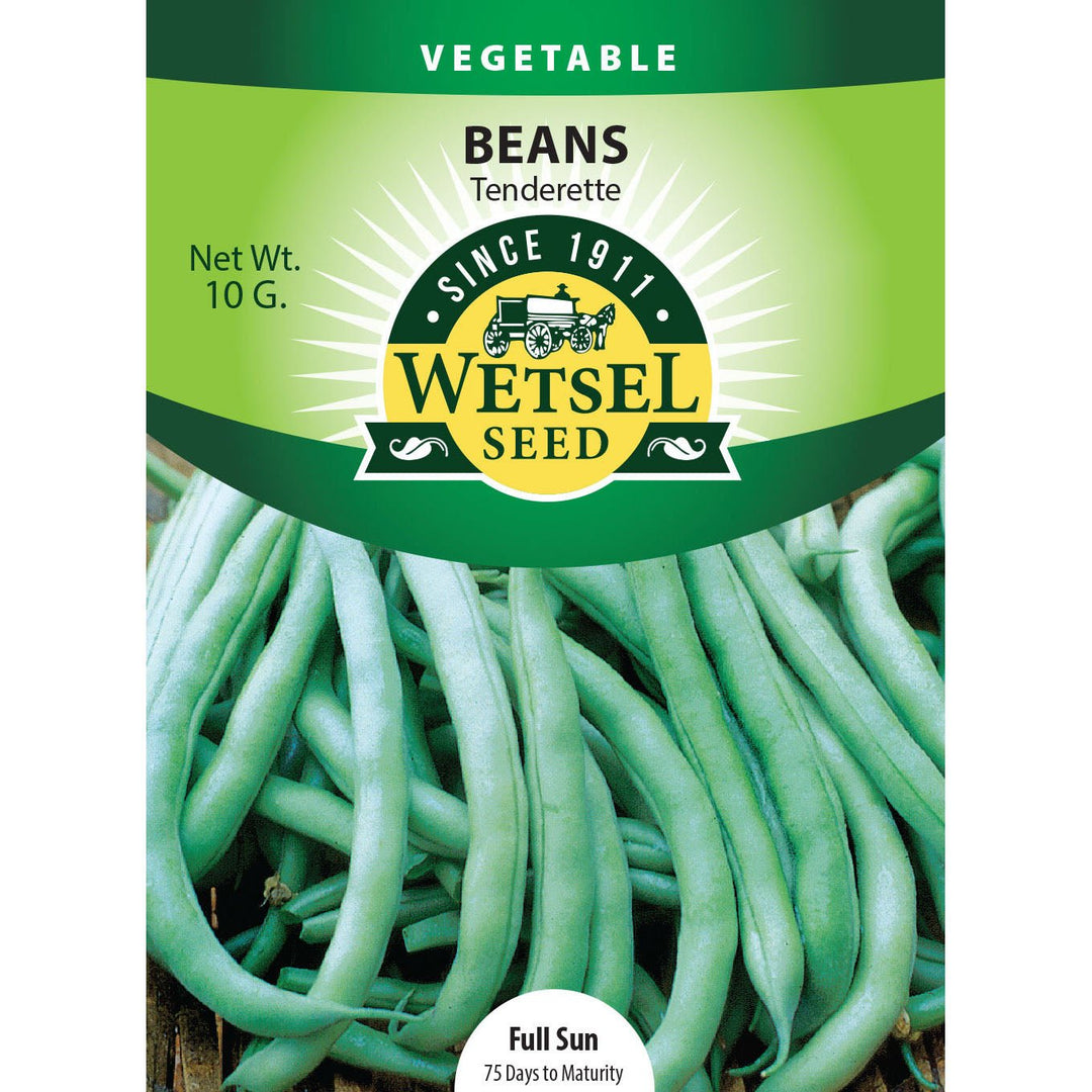 Wetsel Seed™ Bean Garden Tenderette (bush) Seed - Greenhouse Megastore