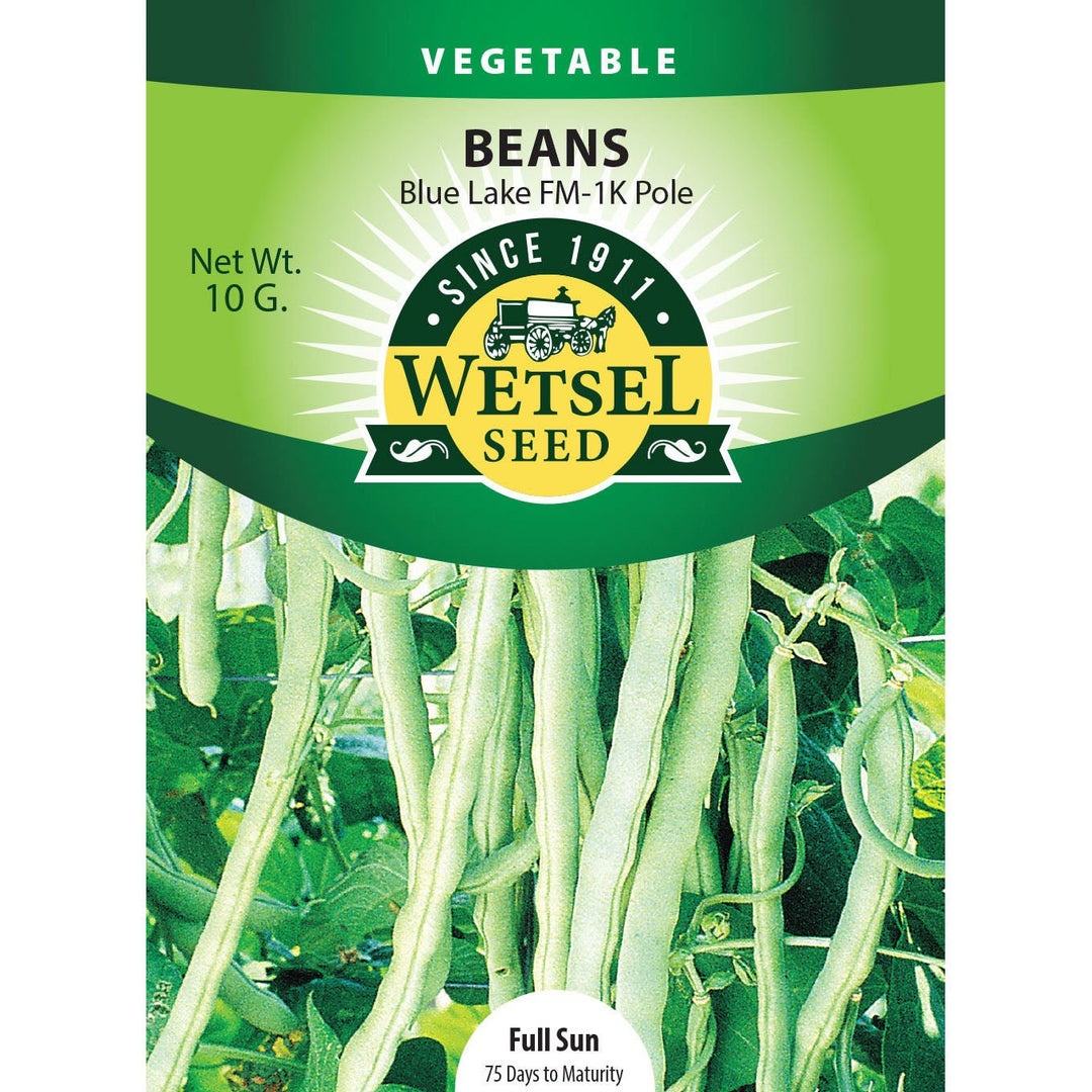 Wetsel Seed™ Bean Stringless Blue Lake FM1 Pole Seed - Greenhouse Megastore