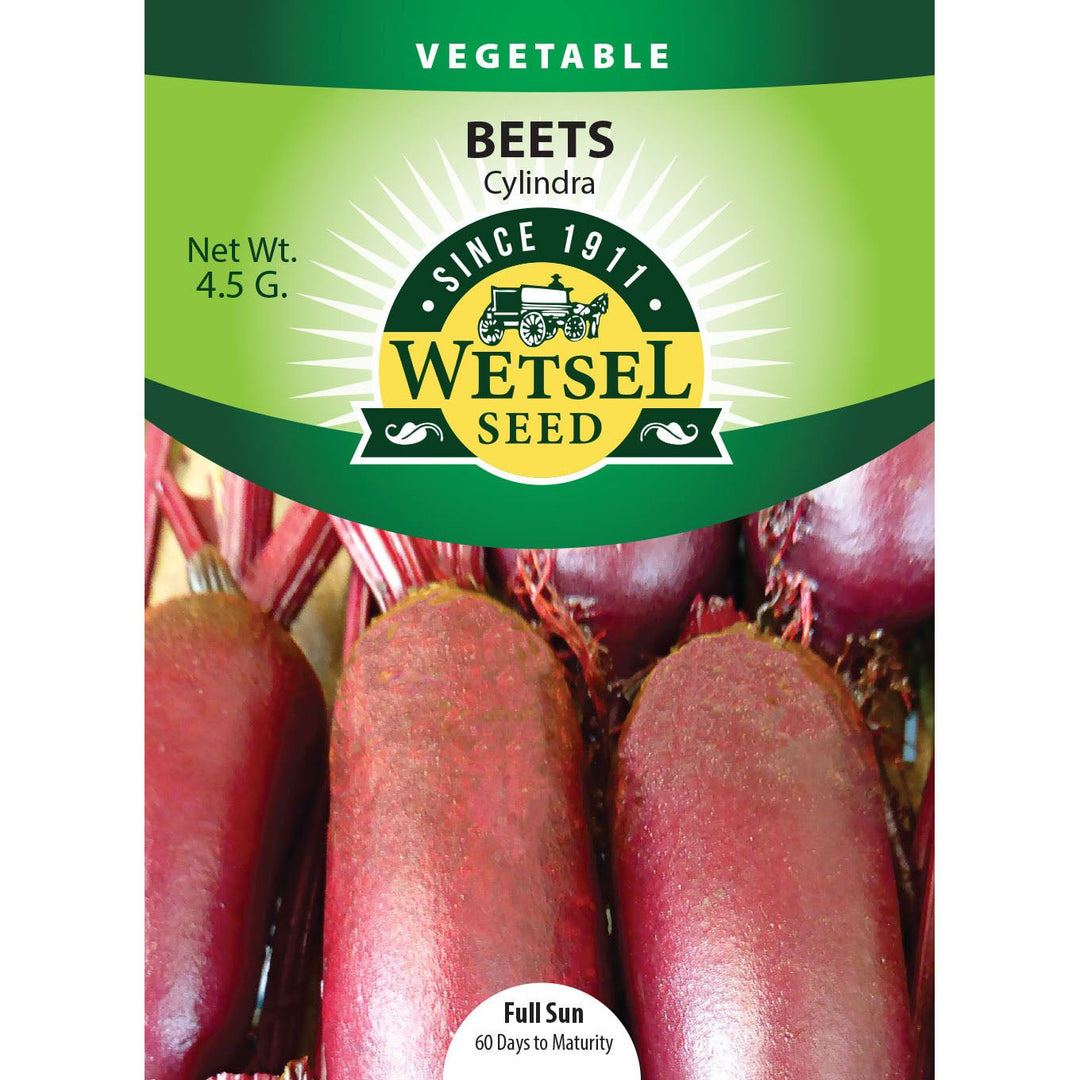 Wetsel Seed™ Beet Cylindra Seed - Greenhouse Megastore