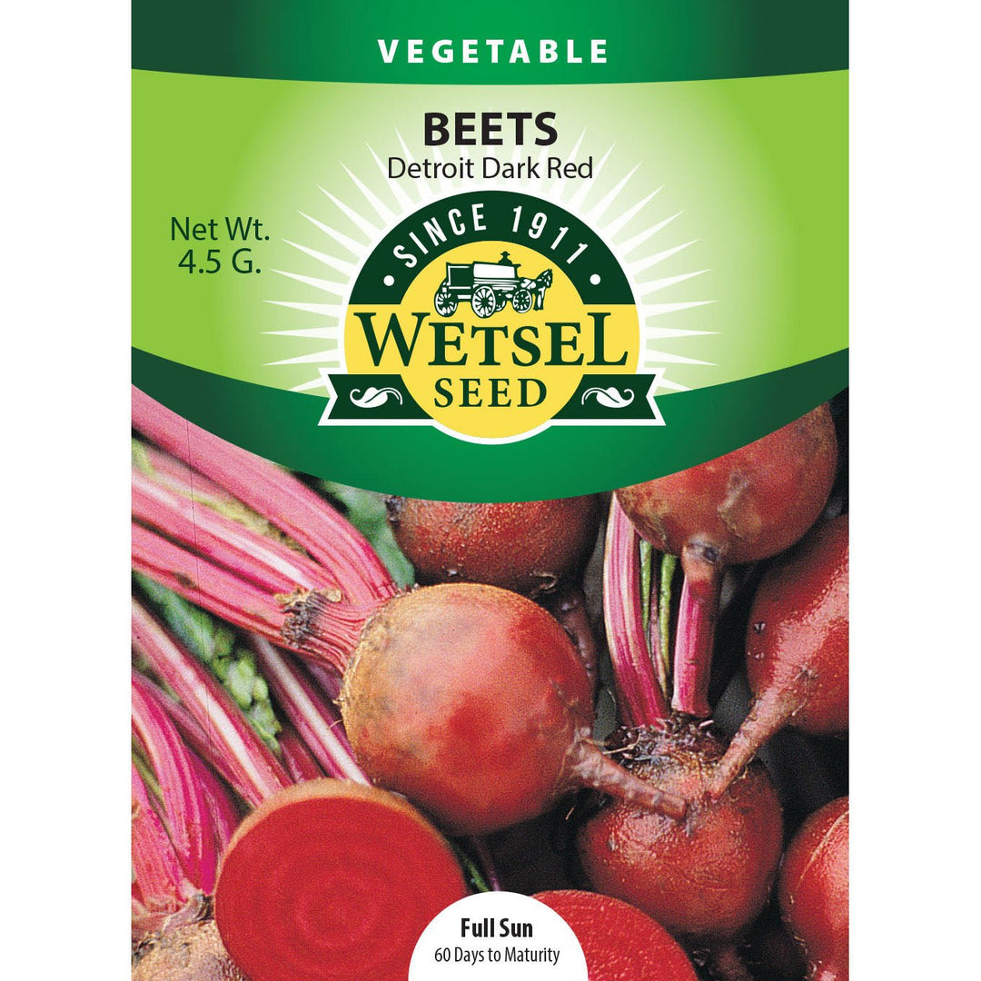 Wetsel Seed™ Beet Detroit Dark Red Seed - Greenhouse Megastore