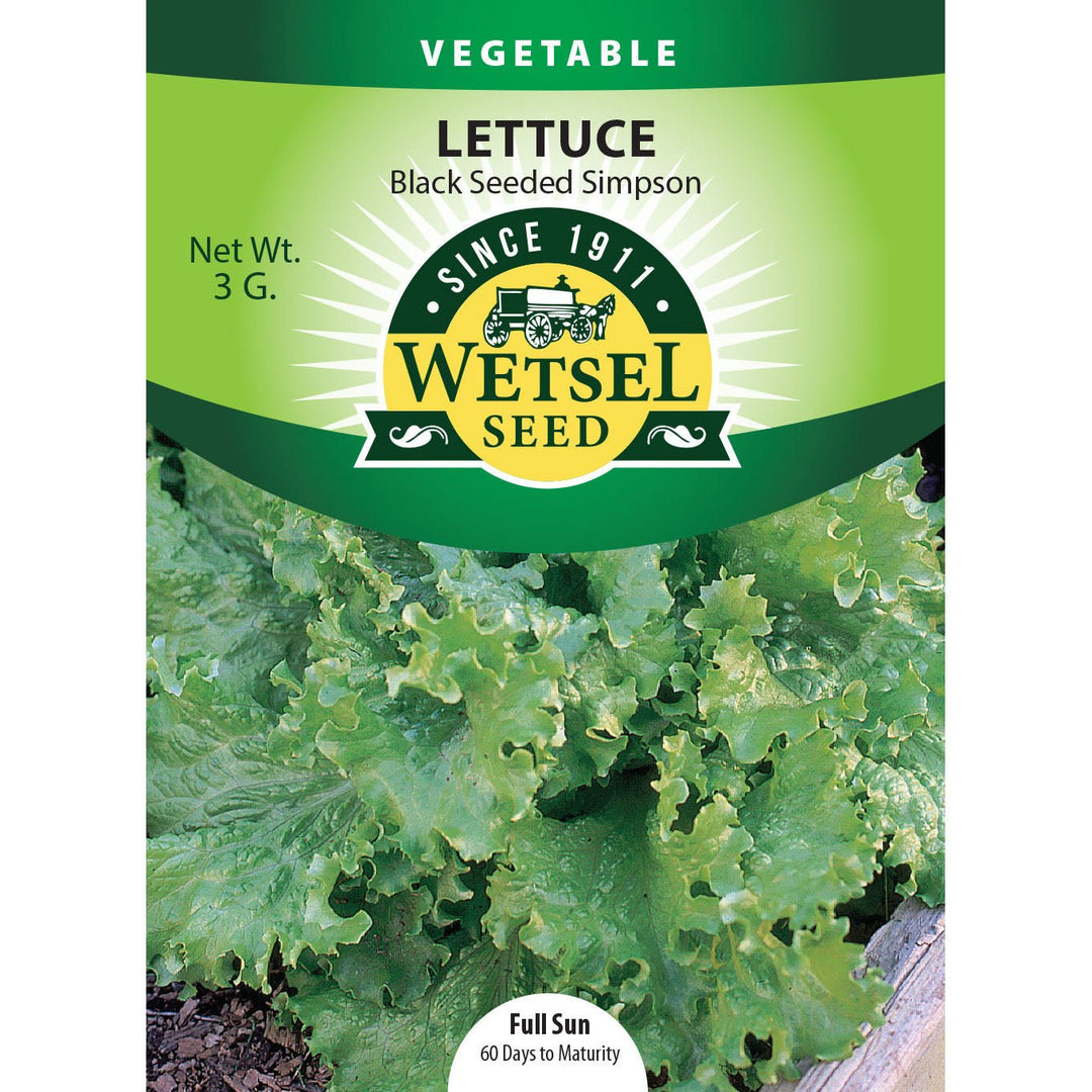 Wetsel Seed™ Black Seeded Simpson Lettuce Seed - Greenhouse Megastore
