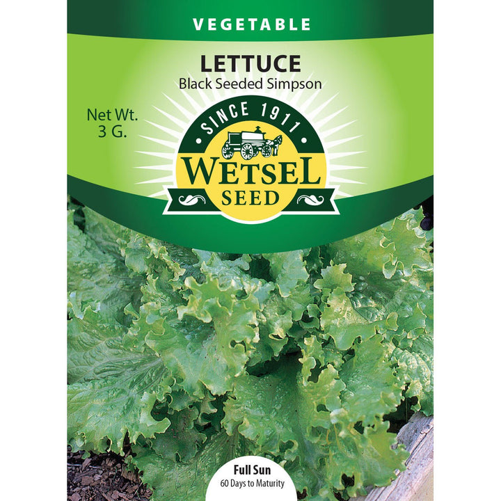 Wetsel Seed™ Black Seeded Simpson Lettuce Seed - Greenhouse Megastore