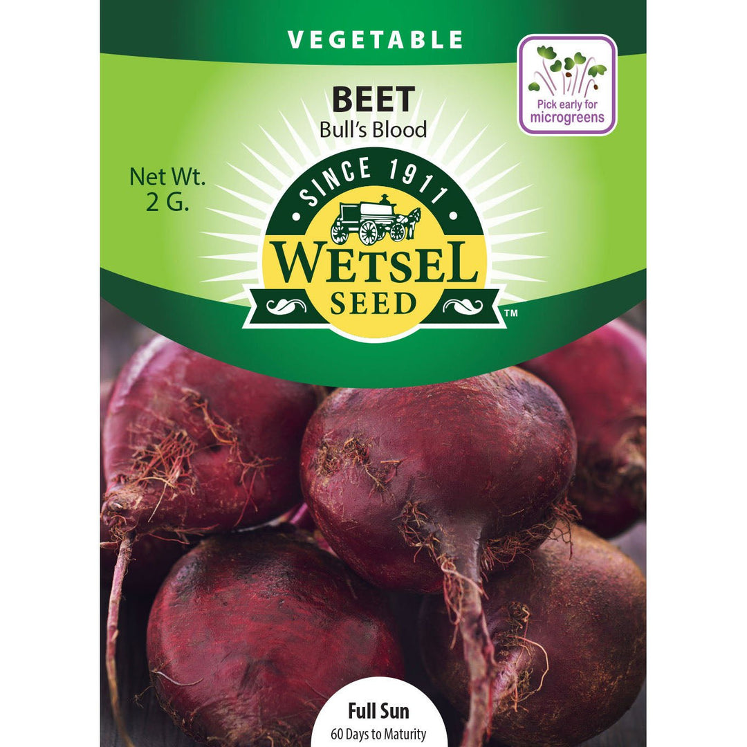 Wetsel Seed™ Bull's Blood Beet Seed - Greenhouse Megastore