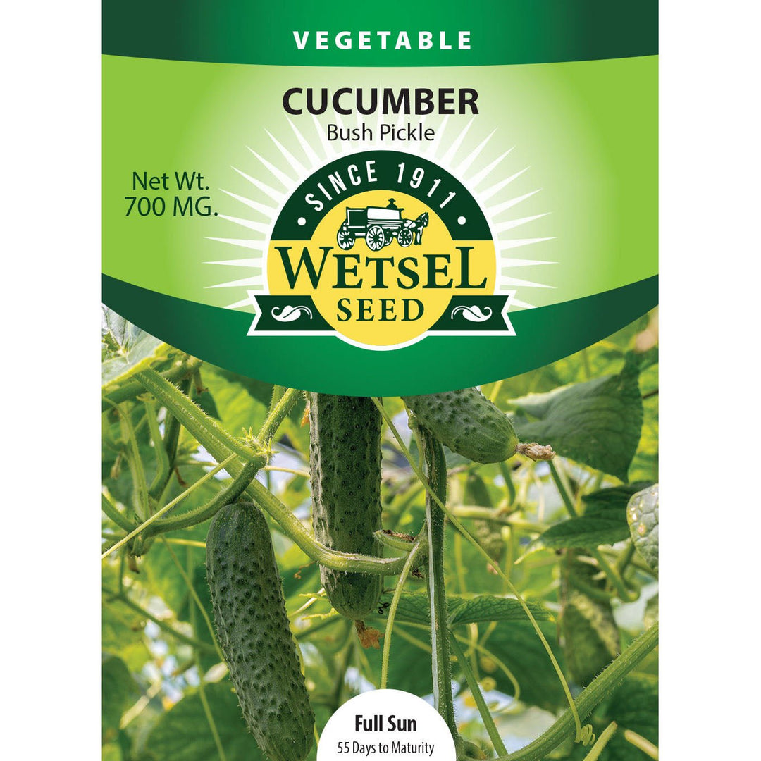 Wetsel Seed™ Bush Pickle Cucumber Seed - Greenhouse Megastore