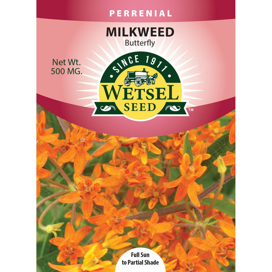 Wetsel Seed™ Butterfly Milkweed Seed - Greenhouse Megastore