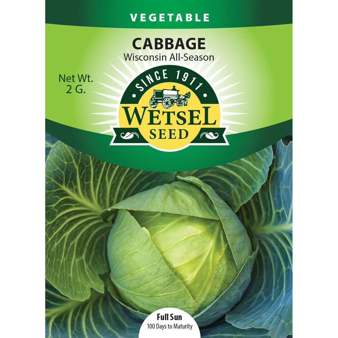 Wetsel Seed™ Cabbage Wisconsin All Season Seed - Greenhouse Megastore