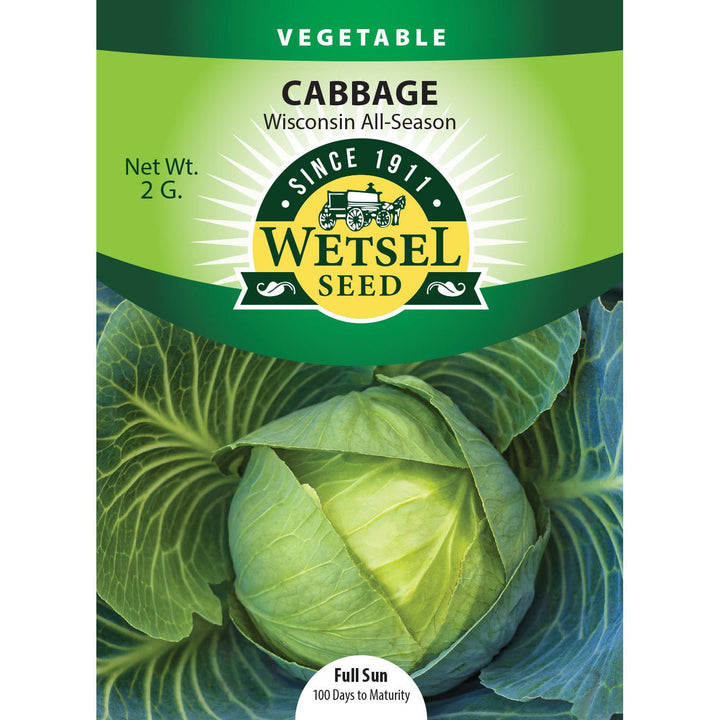 Wetsel Seed™ Cabbage Wisconsin All Season Seed - Greenhouse Megastore