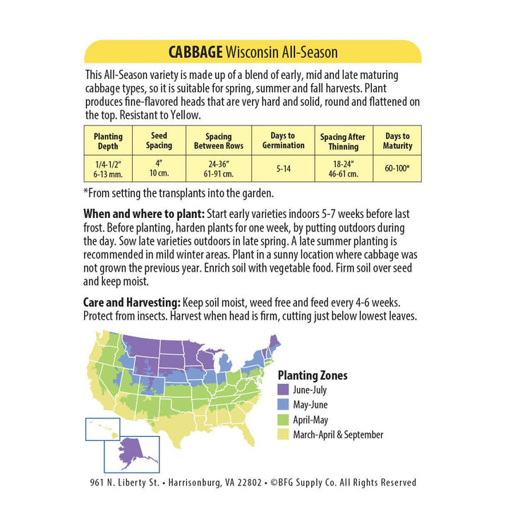 Wetsel Seed™ Cabbage Wisconsin All Season Seed - Greenhouse Megastore