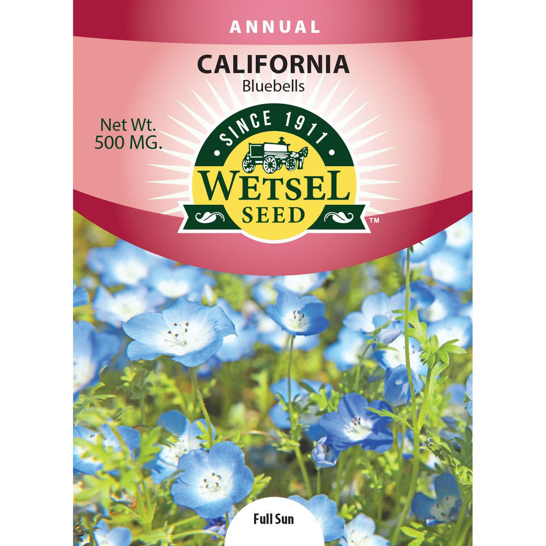 Wetsel Seed™ California Bluebells Seed - Greenhouse Megastore