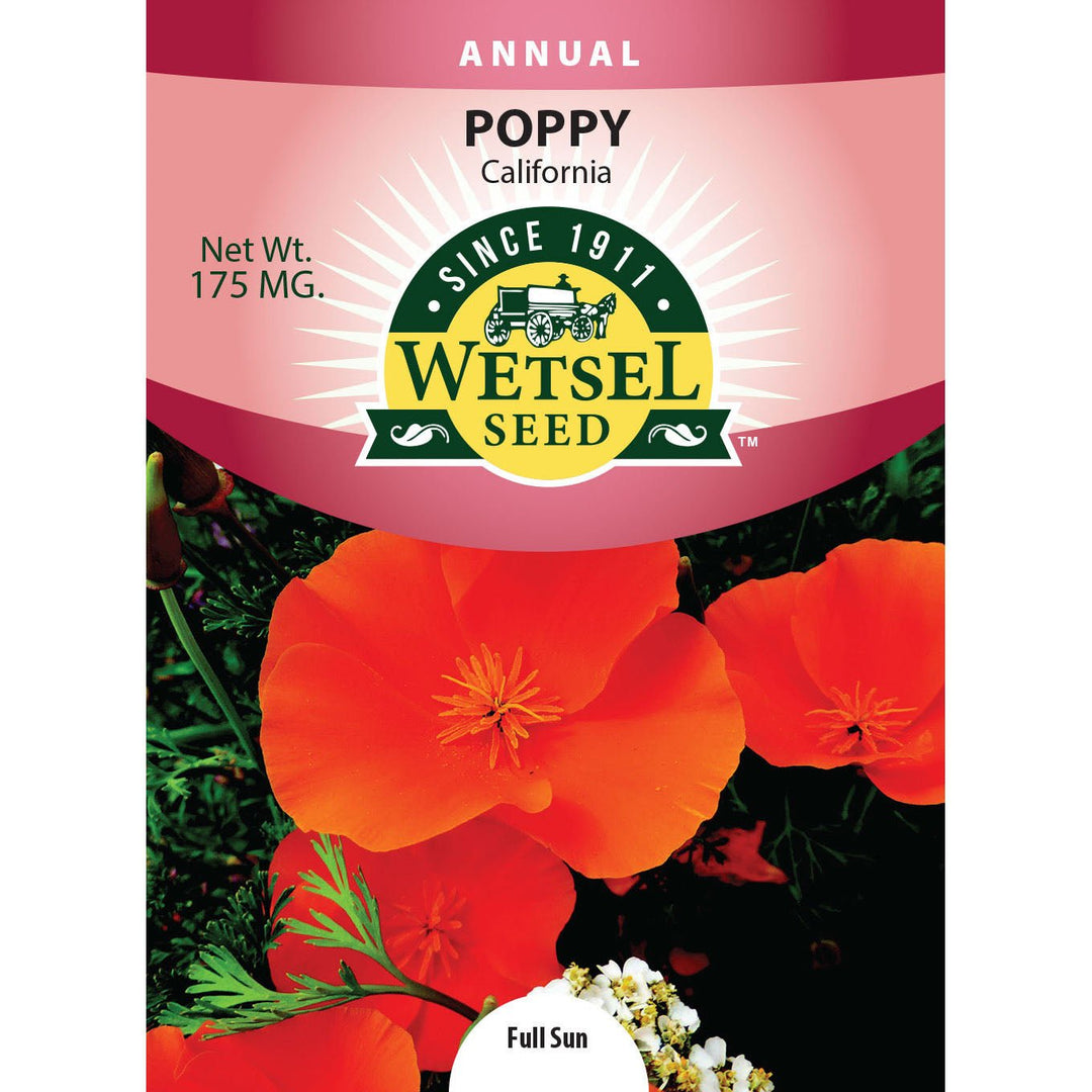 Wetsel Seed™ California Orange Poppies Seed - Greenhouse Megastore