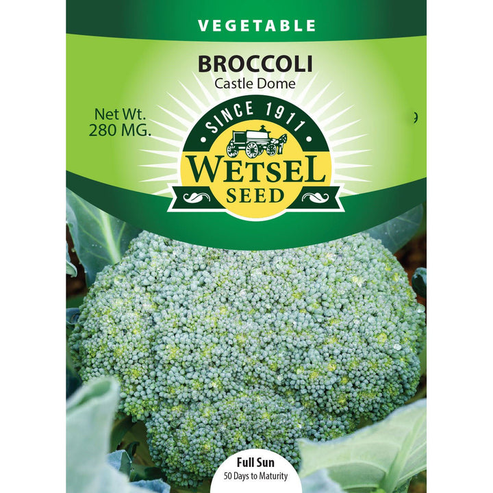 Wetsel Seed™ Castle Dome Broccoli Seed - Greenhouse Megastore