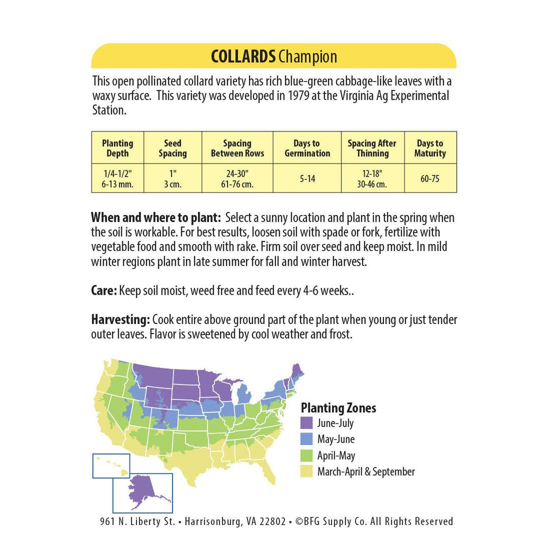 Wetsel Seed™ Champion Collards Seed - Greenhouse Megastore
