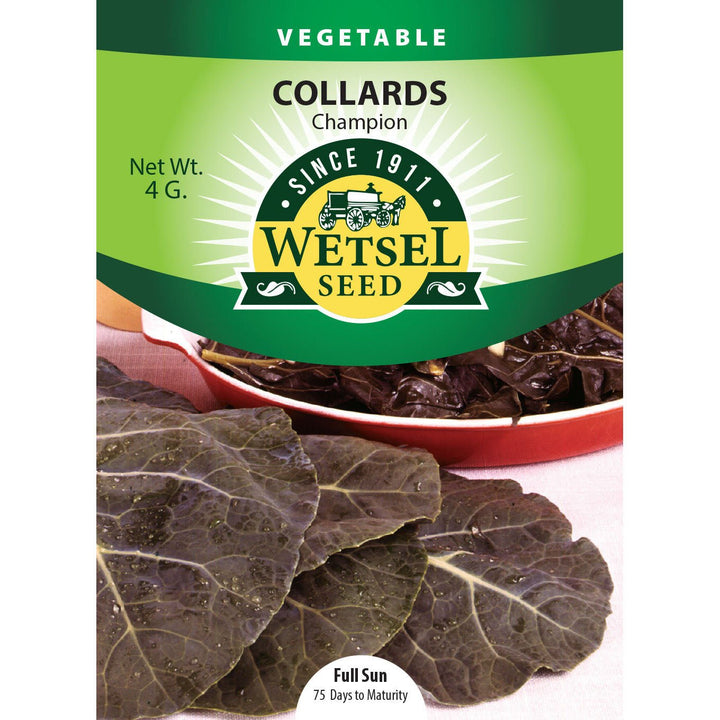 Wetsel Seed™ Champion Collards Seed - Greenhouse Megastore